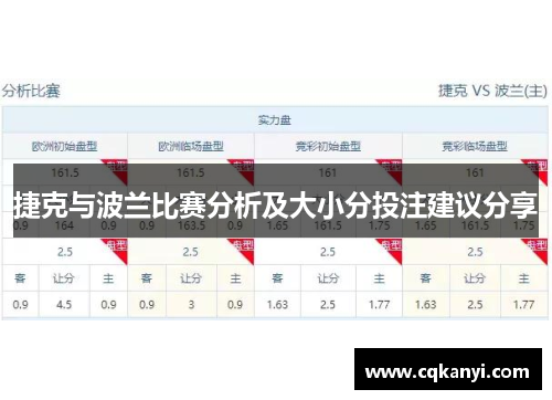 捷克与波兰比赛分析及大小分投注建议分享